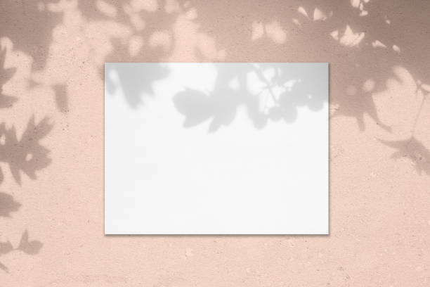 تصویر 1 از خرید و قیمت کاغذ A4 کپی مکس مات 90 گرمی و فروش عمده